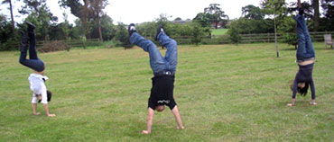 Go Team Fun: Handstands